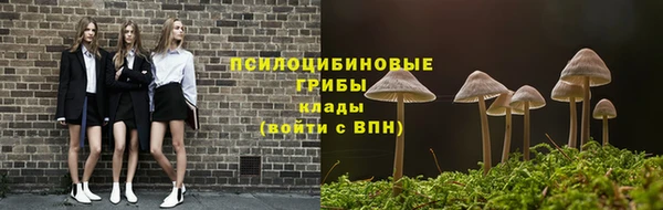 бошки Белокуриха