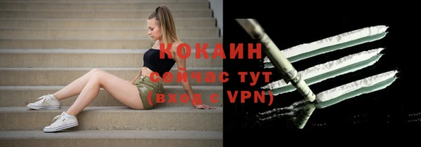 дживик Гусев
