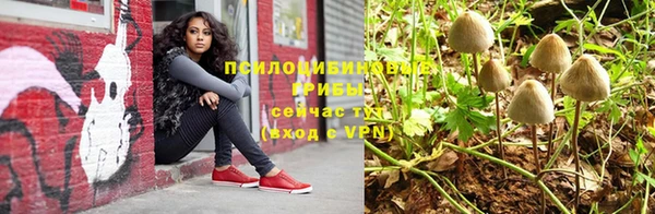 spice Балабаново