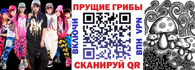 Псилоцибиновые грибы Psilocybe  Ессентуки 